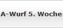 A-Wurf 5. Woche