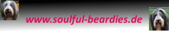 Soulful-Banner