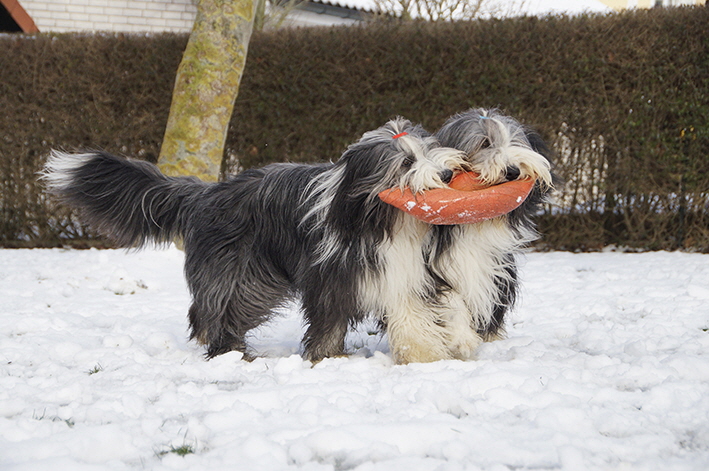 _DSC3887_bearbeitet-1