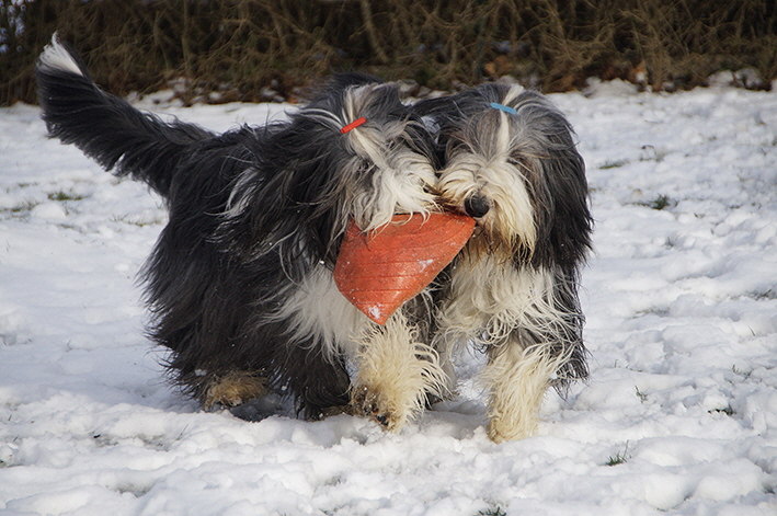 _DSC3902_bearbeitet-1