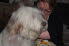 DSCF0941