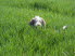 DSCF2566
