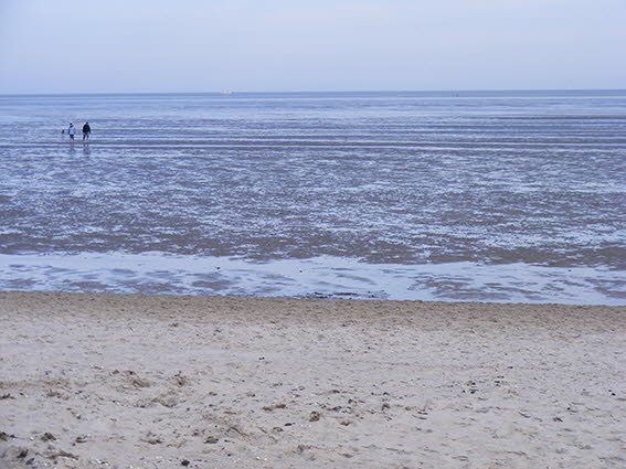 DSCF3577