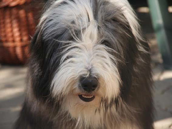 image001